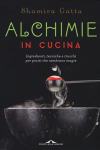 Alchimie in cucina_cover