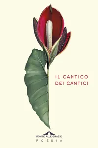 Il Cantico dei Cantici_cover