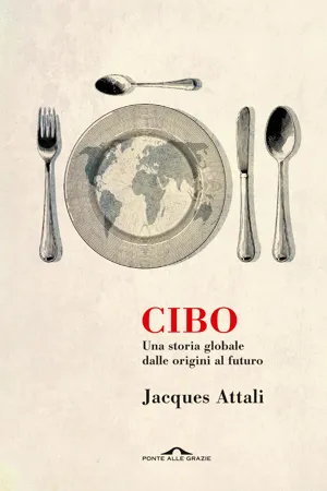 Cibo