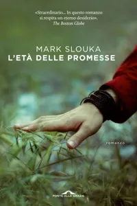 L'età delle promesse_cover