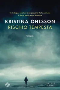 Rischio tempesta_cover