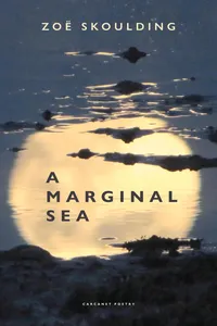 A Marginal Sea_cover