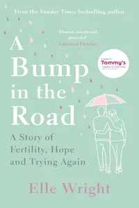 A Bump in the Road_cover