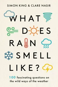 What Does Rain Smell Like?_cover