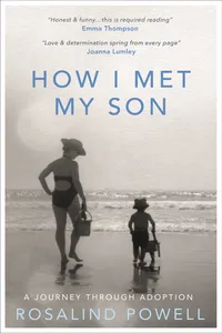 How I Met My Son_cover