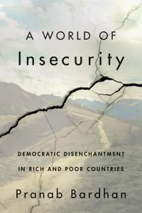 A World of Insecurity_cover