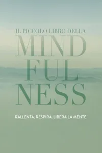 Il piccolo libro della Mindfulness_cover