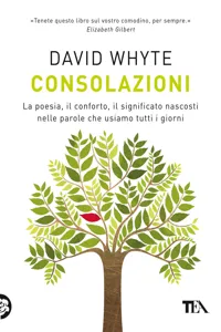 Consolazioni_cover