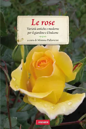 Le rose