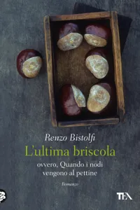 L'ultima briscola_cover