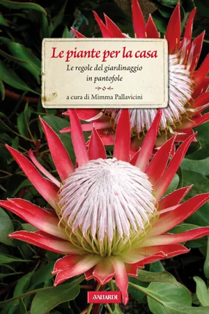 Le piante per la casa