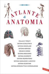 Atlante di anatomia_cover