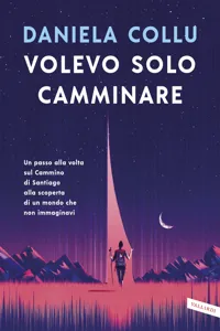 Volevo solo camminare_cover