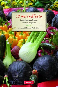 12 mesi nell'orto_cover