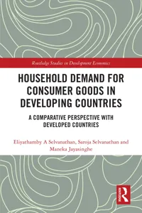 Household Demand for Consumer Goods in Developing Countries_cover