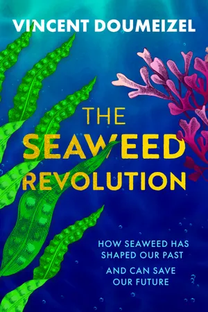 The Seaweed Revolution