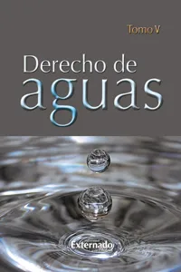 Derecho de Aguas Tomo V_cover