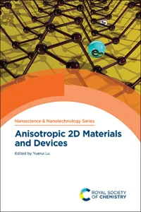 Anisotropic 2D Materials and Devices_cover
