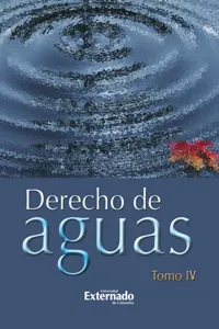 Derecho de Aguas Tomo IV_cover