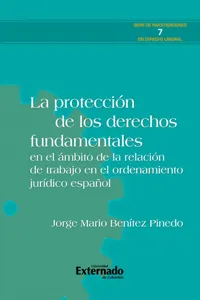 La protección de los derechos fundamentales en el ámbito de la relación de trabajo en el ordenamiento jurídico español_cover