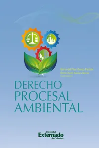 Derecho procesal ambiental_cover