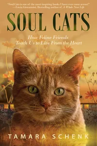 Soul Cats_cover