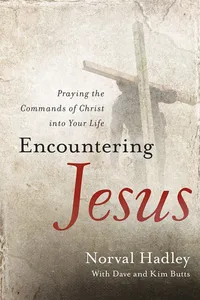 Encountering Jesus_cover