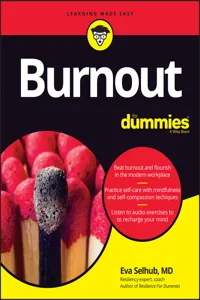 Burnout For Dummies_cover