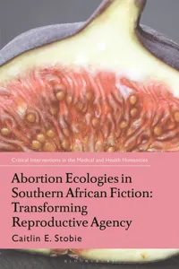Abortion Ecologies in Southern African Fiction_cover