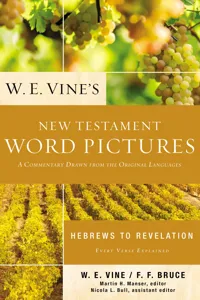 W. E. Vine's New Testament Word Pictures: Hebrews to Revelation_cover