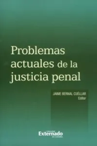 Problemas actuales de la justicia penal_cover