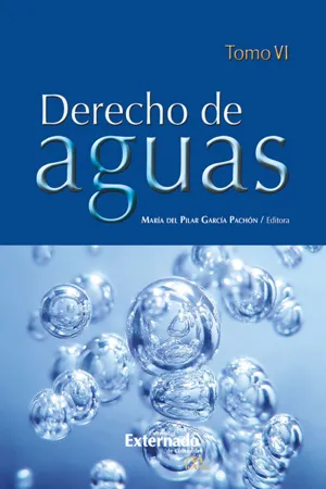 Derecho de Aguas Tomo VI