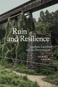 Ruin and Resilience_cover