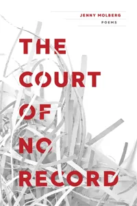 The Court of No Record_cover