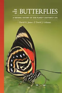 The Lives of Butterflies_cover