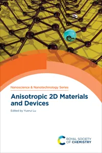 Anisotropic 2D Materials and Devices_cover
