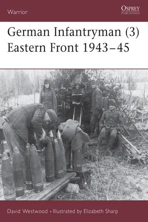 German Infantryman (3) Eastern Front 1943โ45