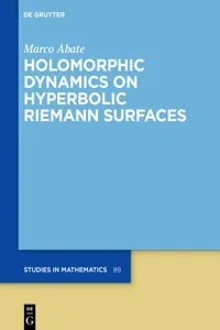 Holomorphic Dynamics on Hyperbolic Riemann Surfaces_cover