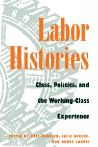 Working Class in American History_cover