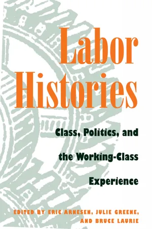 Working Class in American History