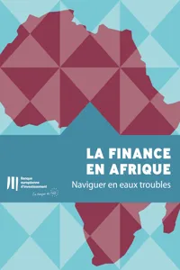 La finance en Afrique_cover