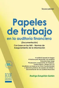 Papeles de trabajo en la auditoría financiera_cover