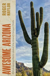 Awesome Arizona_cover