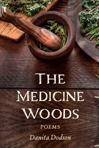 The Medicine Woods_cover