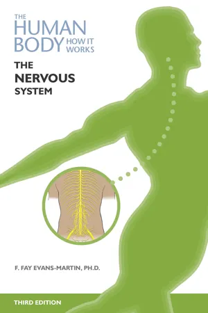 The Nervous System, Third Edition