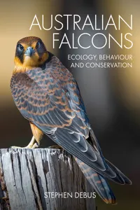 Australian Falcons_cover