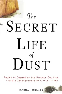 The Secret Life of Dust_cover