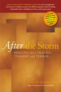 After the Storm_cover