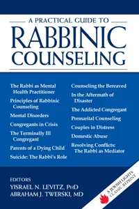 A Practical Guide to Rabbinic Counseling_cover