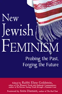 New Jewish Feminism_cover